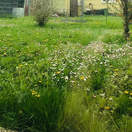 Ferienwohnung Feldmann Freckenfeld Kültér fotó