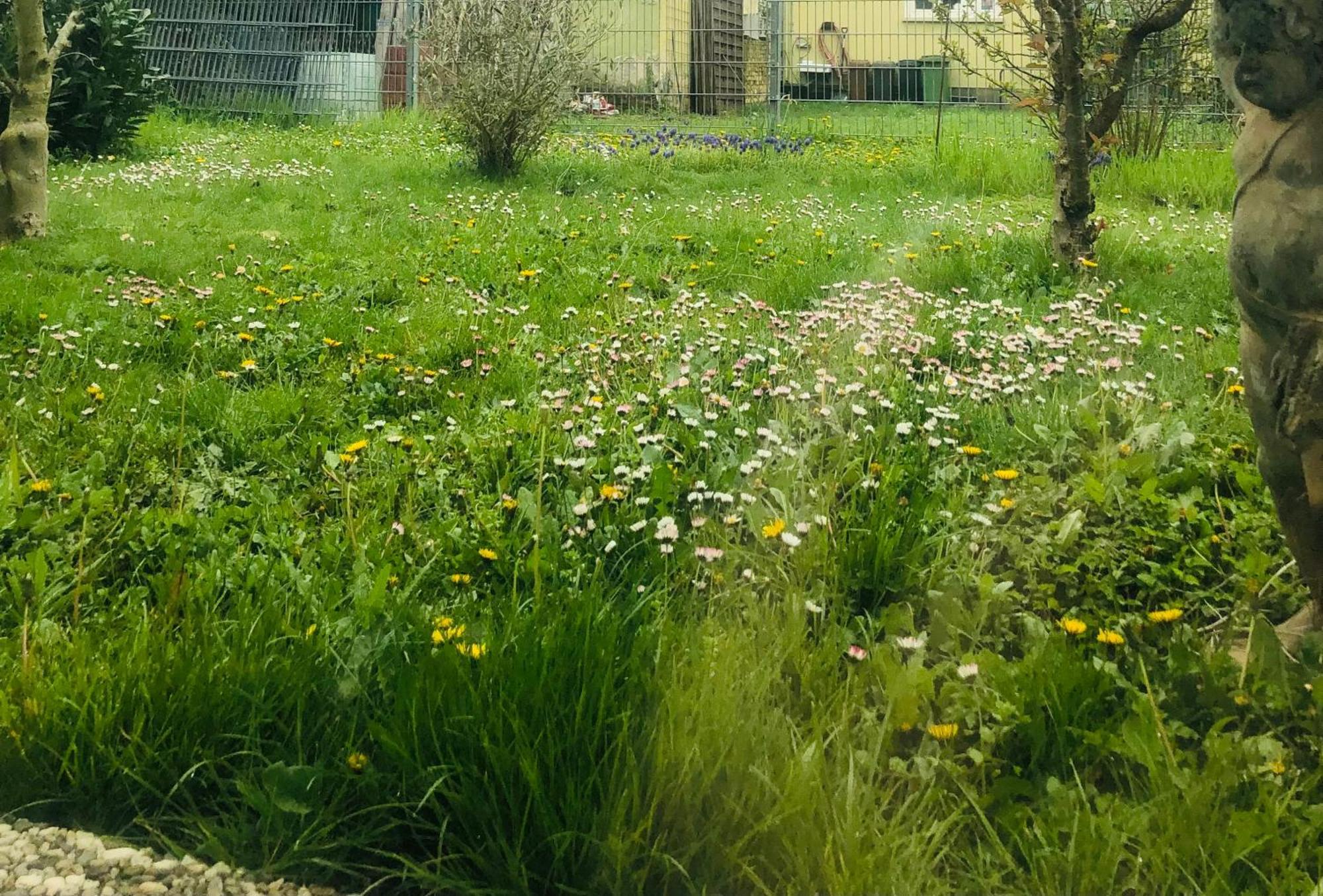 Ferienwohnung Feldmann Freckenfeld Kültér fotó
