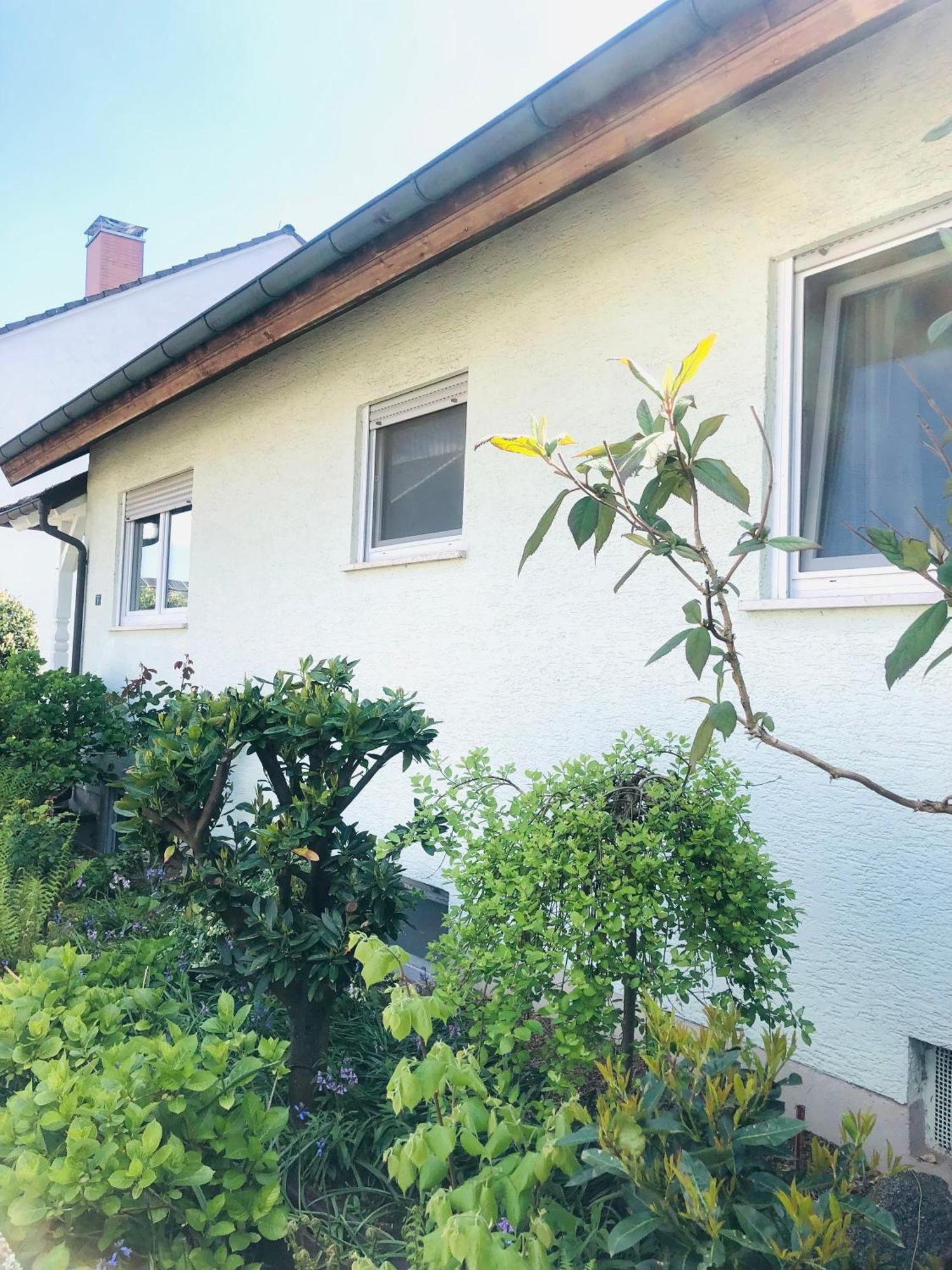 Ferienwohnung Feldmann Freckenfeld Kültér fotó